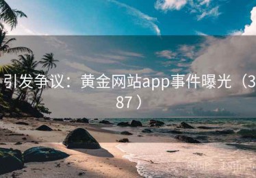 引发争议：黄金网站app事件曝光（387 ）
