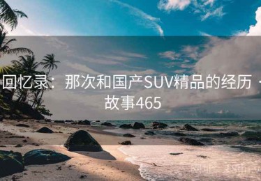 回忆录：那次和国产SUV精品的经历 · 故事465