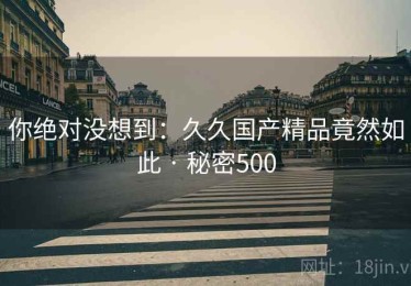 你绝对没想到：久久国产精品竟然如此 · 秘密500