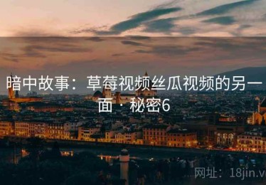 暗中故事：草莓视频丝瓜视频的另一面 · 秘密6