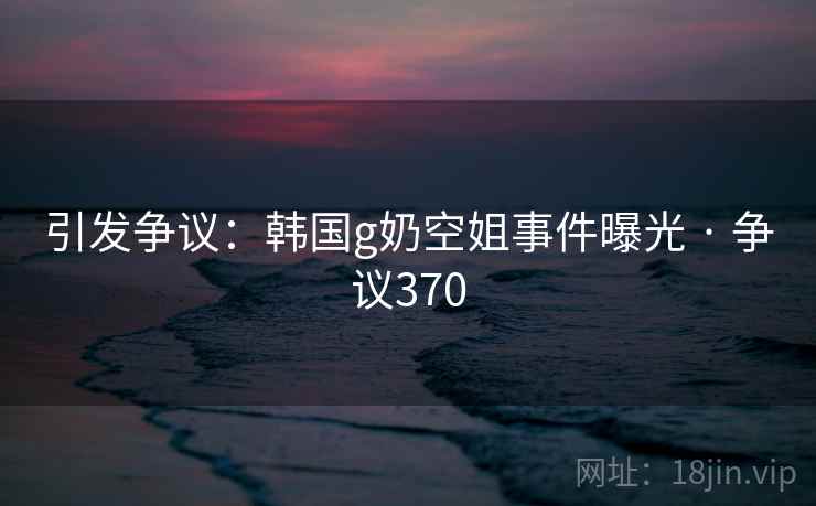 引发争议：韩国g奶空姐事件曝光 · 争议370