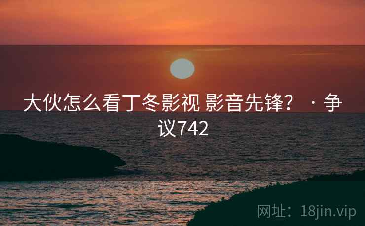 大伙怎么看丁冬影视 影音先锋？ · 争议742